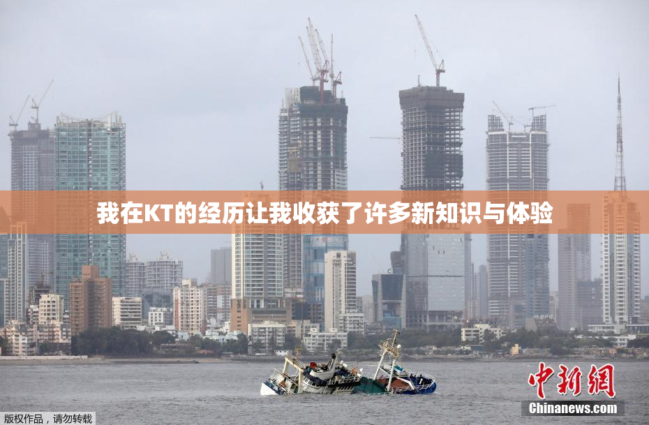 我在KT的经历让我收获了许多新知识与体验