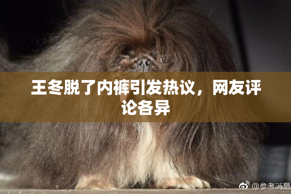 王冬脱了内裤引发热议，网友评论各异