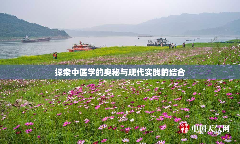 探索中医学的奥秘与现代实践的结合