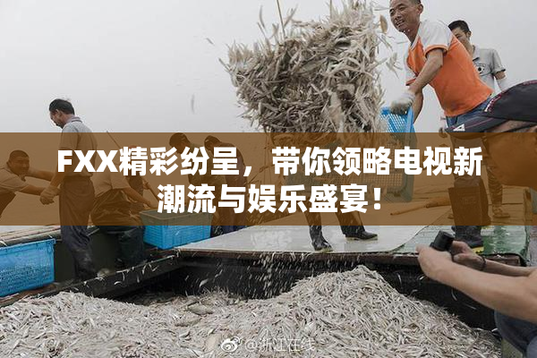 FXX精彩纷呈，带你领略电视新潮流与娱乐盛宴！