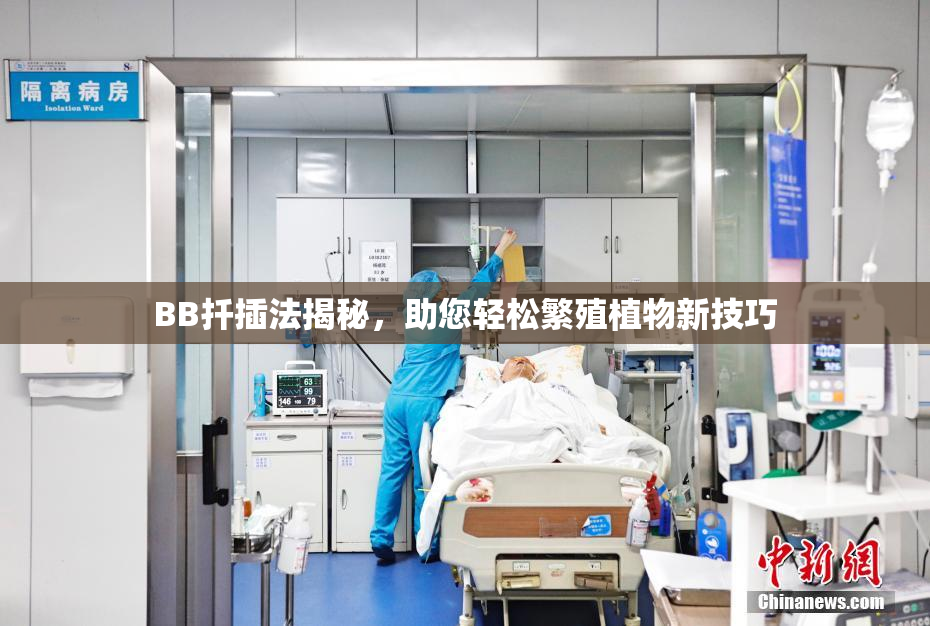 BB扦插法揭秘，助您轻松繁殖植物新技巧