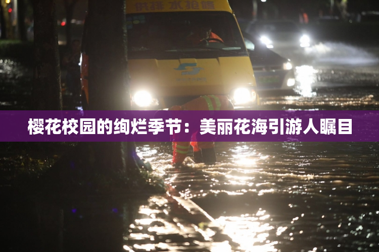 樱花校园的绚烂季节：美丽花海引游人瞩目