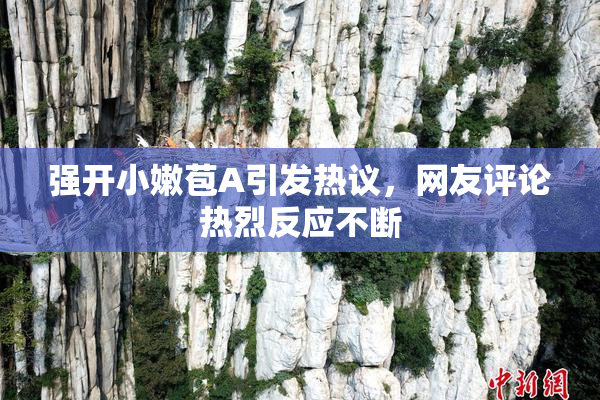 强开小嫩苞A引发热议，网友评论热烈反应不断