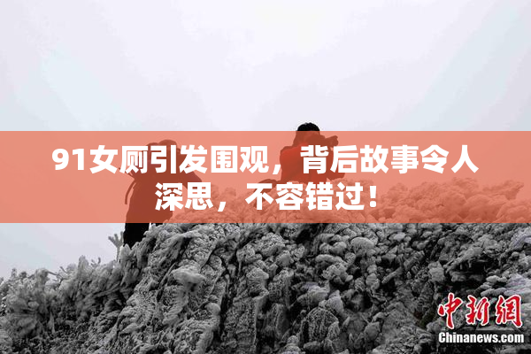 91女厕引发围观，背后故事令人深思，不容错过！