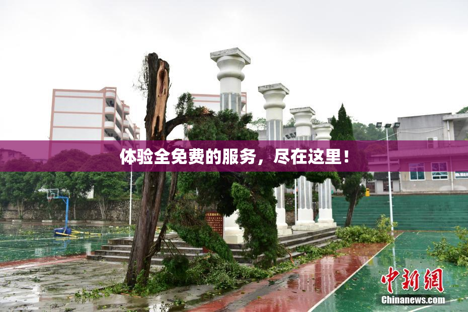 体验全免费的服务，尽在这里！
