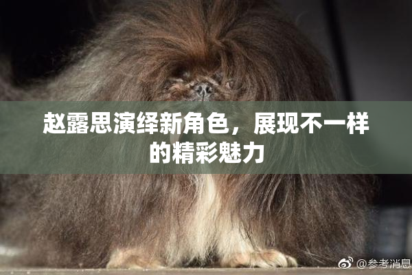 赵露思演绎新角色，展现不一样的精彩魅力