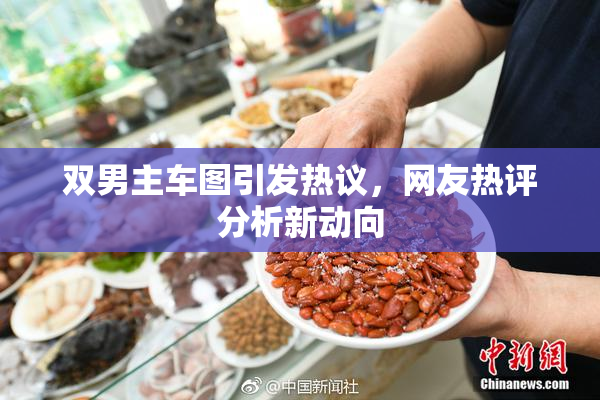 双男主车图引发热议，网友热评分析新动向