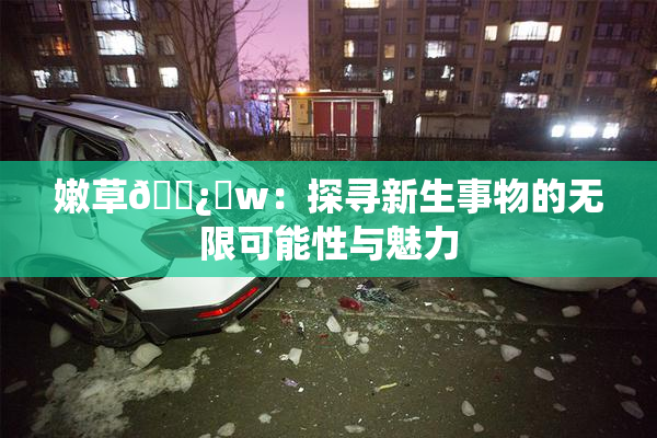 嫩草🌿‌w：探寻新生事物的无限可能性与魅力