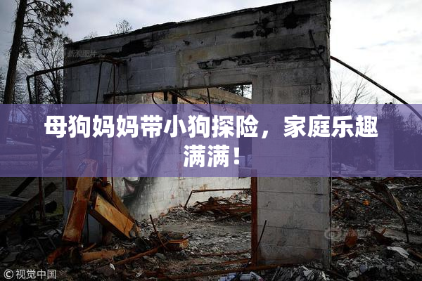 母狗妈妈带小狗探险，家庭乐趣满满！