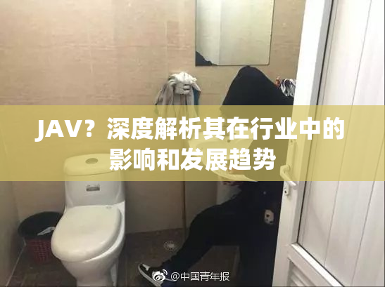 JAV？深度解析其在行业中的影响和发展趋势