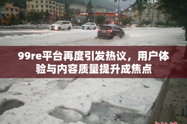 99re平台再度引发热议，用户体验与内容质量提升成焦点