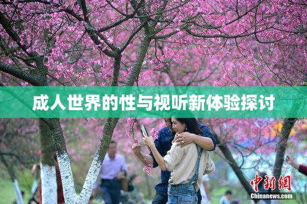 成人世界的性与视听新体验探讨
