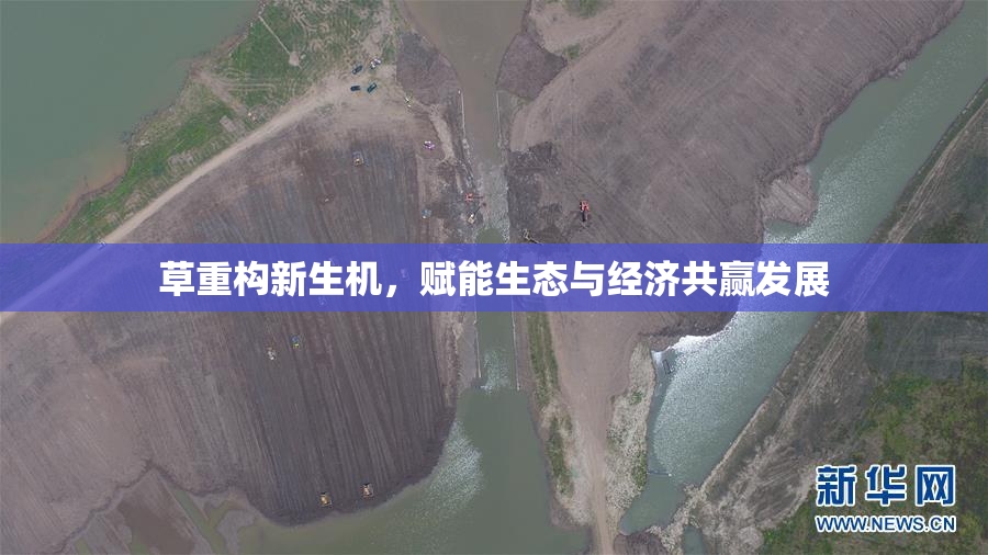 草重构新生机，赋能生态与经济共赢发展