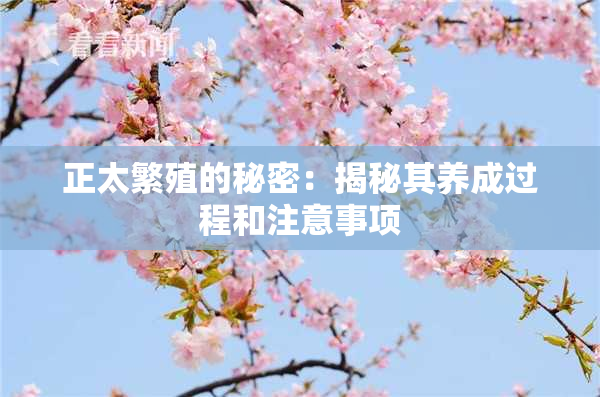 正太繁殖的秘密：揭秘其养成过程和注意事项