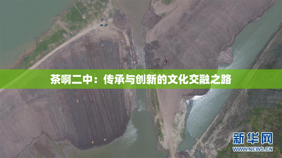 茶啊二中：传承与创新的文化交融之路