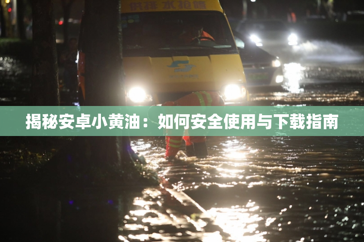 揭秘安卓小黄油：如何安全使用与下载指南