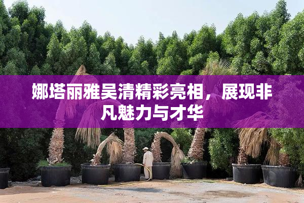 娜塔丽雅吴清精彩亮相，展现非凡魅力与才华