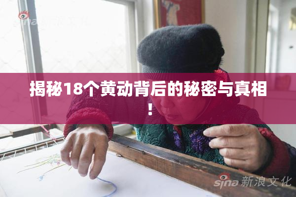 揭秘18个黄动背后的秘密与真相！