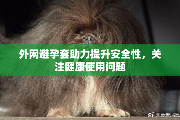 外网避孕套助力提升安全性，关注健康使用问题
