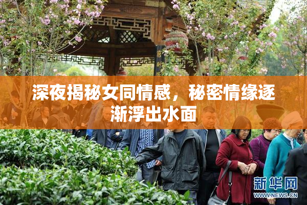 深夜揭秘女同情感，秘密情缘逐渐浮出水面