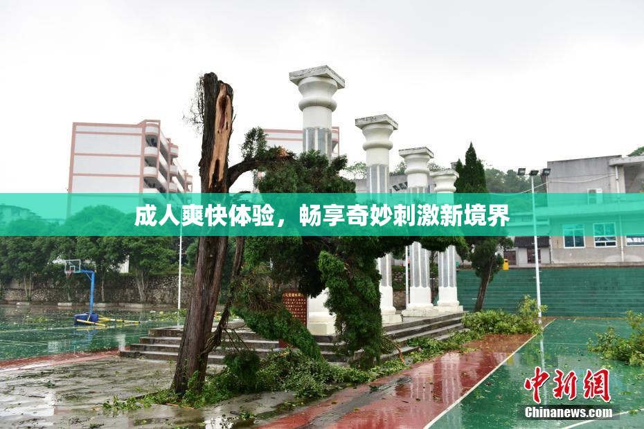 成人爽快体验，畅享奇妙刺激新境界
