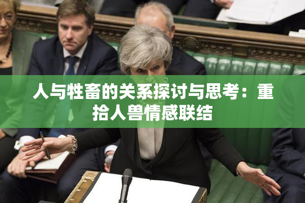 人与牲畜的关系探讨与思考：重拾人兽情感联结