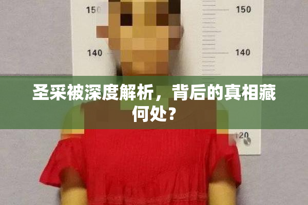 圣采被深度解析，背后的真相藏何处？
