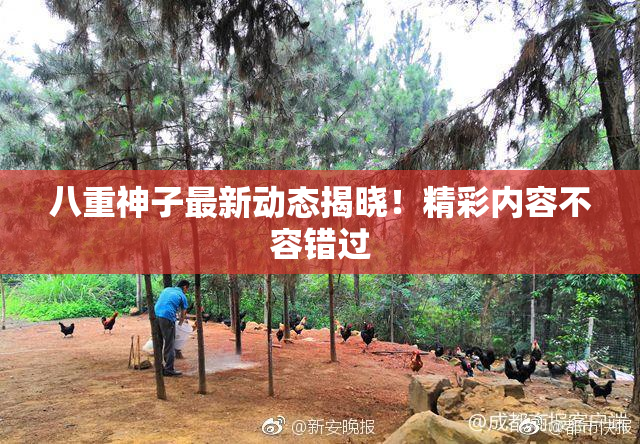 八重神子最新动态揭晓！精彩内容不容错过
