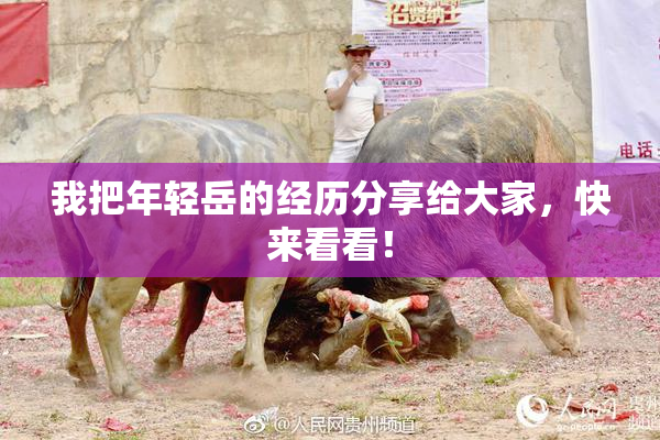 我把年轻岳的经历分享给大家，快来看看！