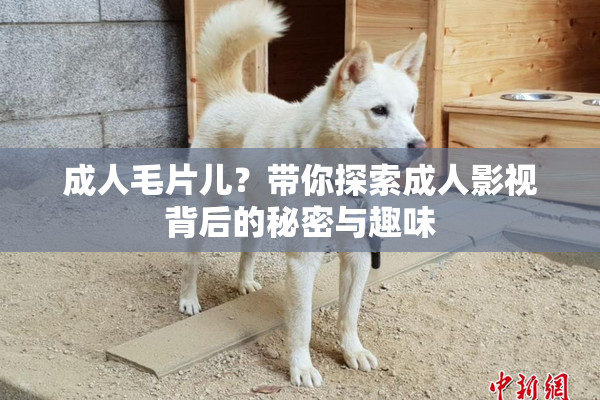 成人毛片儿？带你探索成人影视背后的秘密与趣味