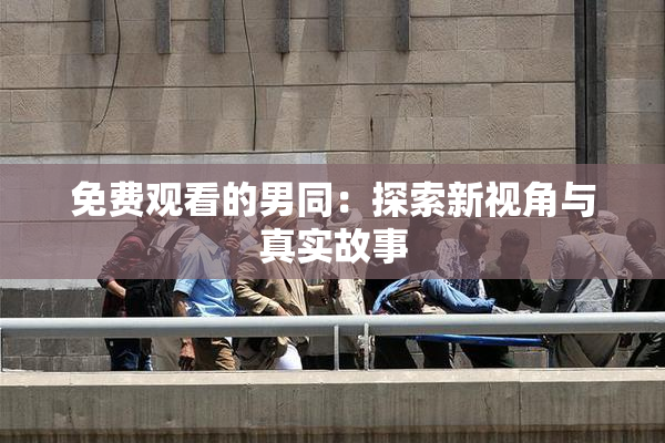 免费观看的男同：探索新视角与真实故事