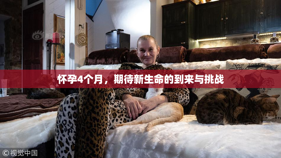 怀孕4个月，期待新生命的到来与挑战