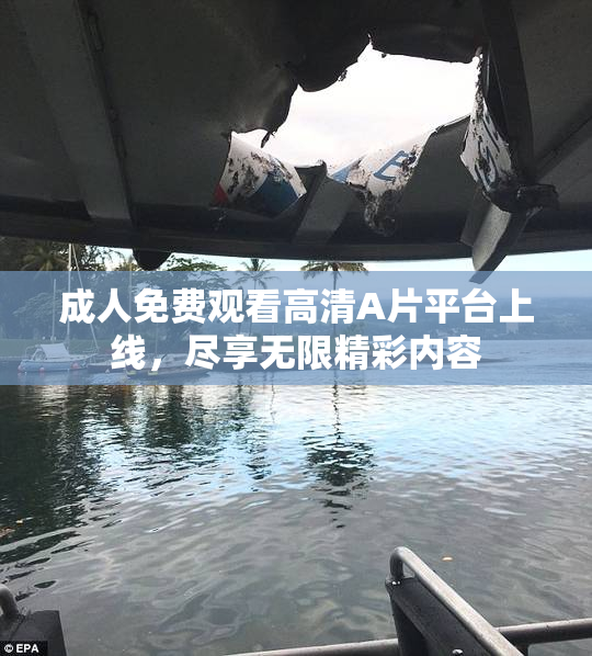 成人免费观看高清A片平台上线，尽享无限精彩内容