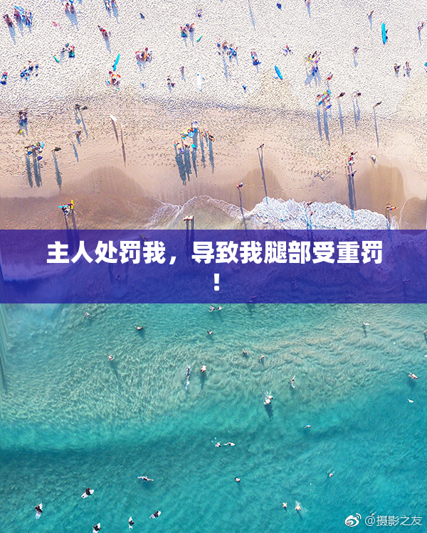 主人处罚我，导致我腿部受重罚！
