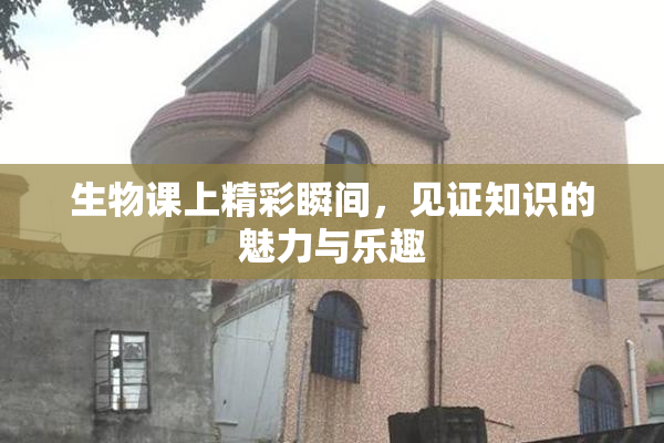 生物课上精彩瞬间，见证知识的魅力与乐趣