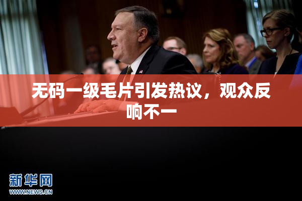 无码一级毛片引发热议，观众反响不一