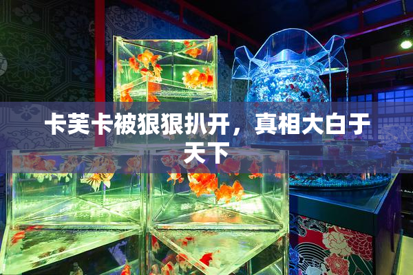 卡芙卡被狠狠扒开，真相大白于天下