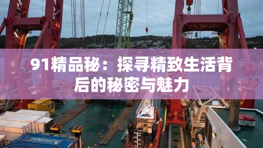 91精品秘：探寻精致生活背后的秘密与魅力