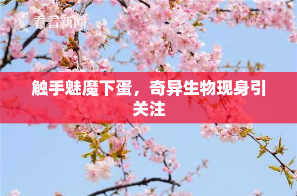 触手魅魔下蛋，奇异生物现身引关注