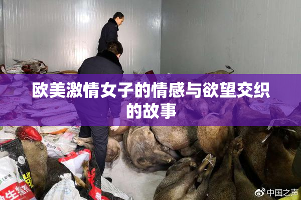 欧美激情女子的情感与欲望交织的故事