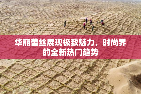 华丽蕾丝展现极致魅力，时尚界的全新热门趋势