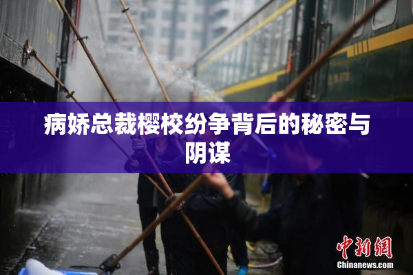 病娇总裁樱校纷争背后的秘密与阴谋