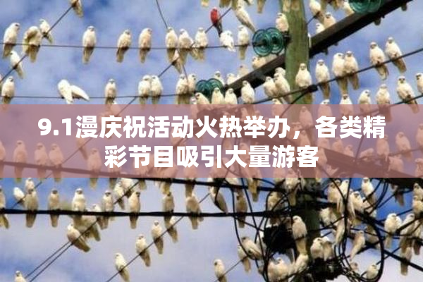 9.1漫庆祝活动火热举办，各类精彩节目吸引大量游客