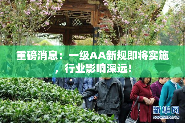 重磅消息：一级AA新规即将实施，行业影响深远！
