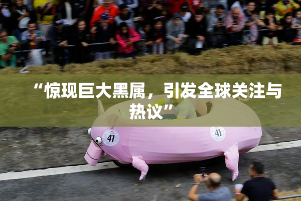 “惊现巨大黑属，引发全球关注与热议”