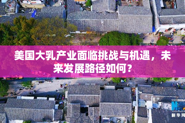 美国大乳产业面临挑战与机遇，未来发展路径如何？