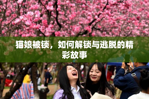 猫娘被锁，如何解锁与逃脱的精彩故事