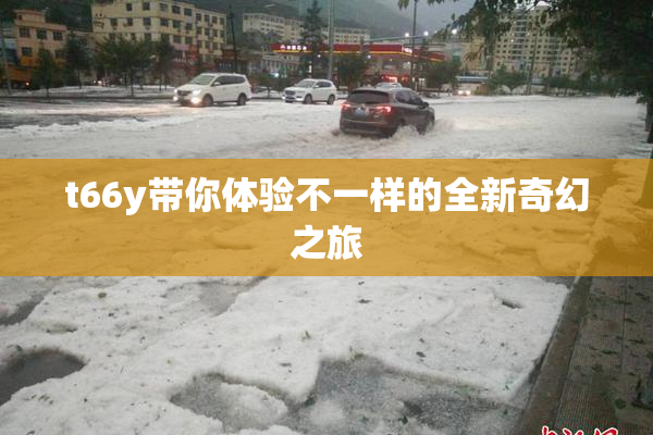 t66y带你体验不一样的全新奇幻之旅