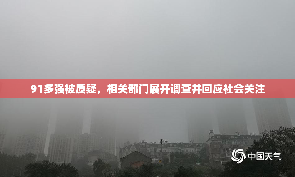 91多强被质疑，相关部门展开调查并回应社会关注