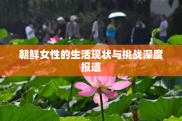 朝鲜女性的生活现状与挑战深度报道